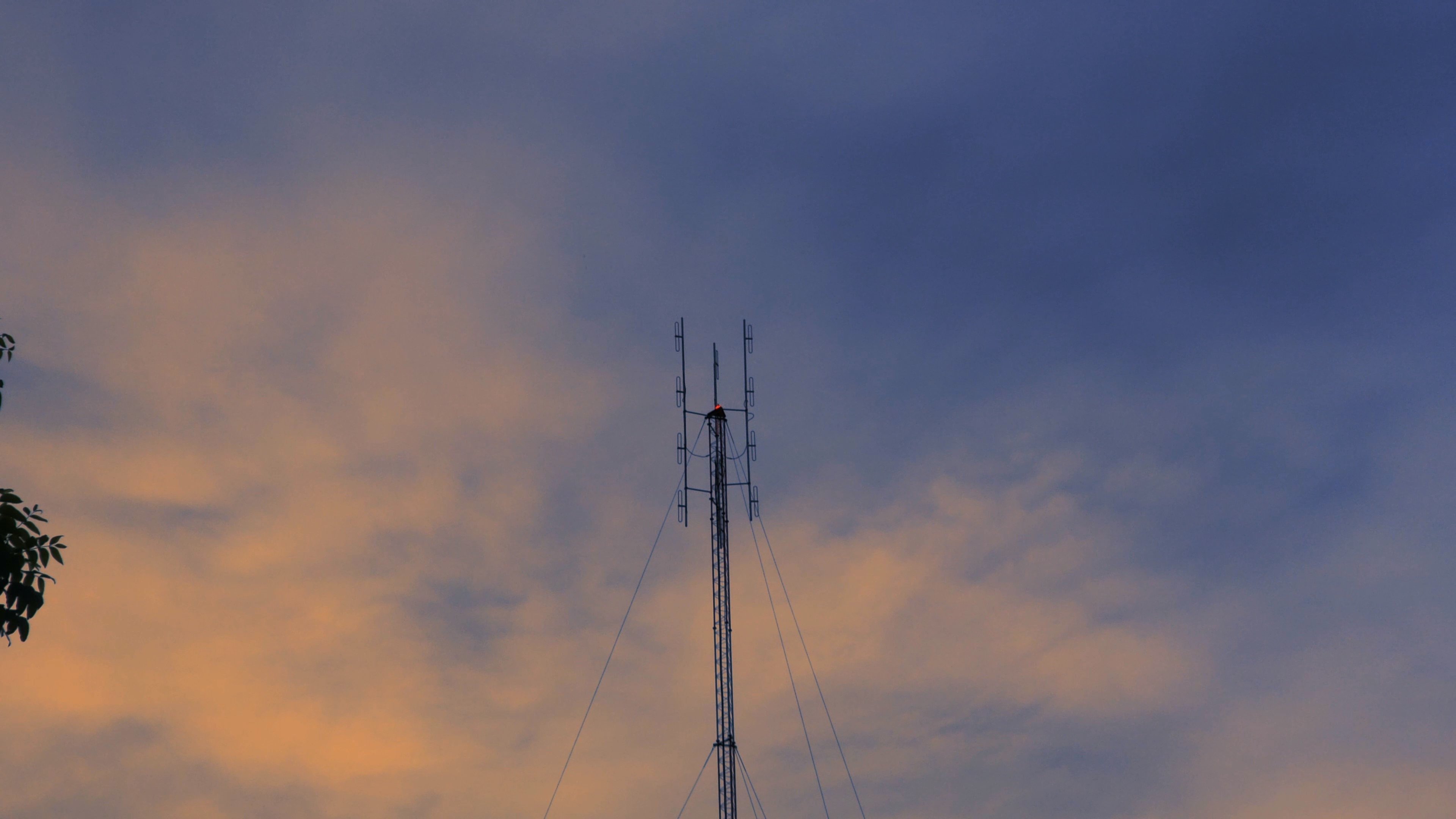 تصویر 0