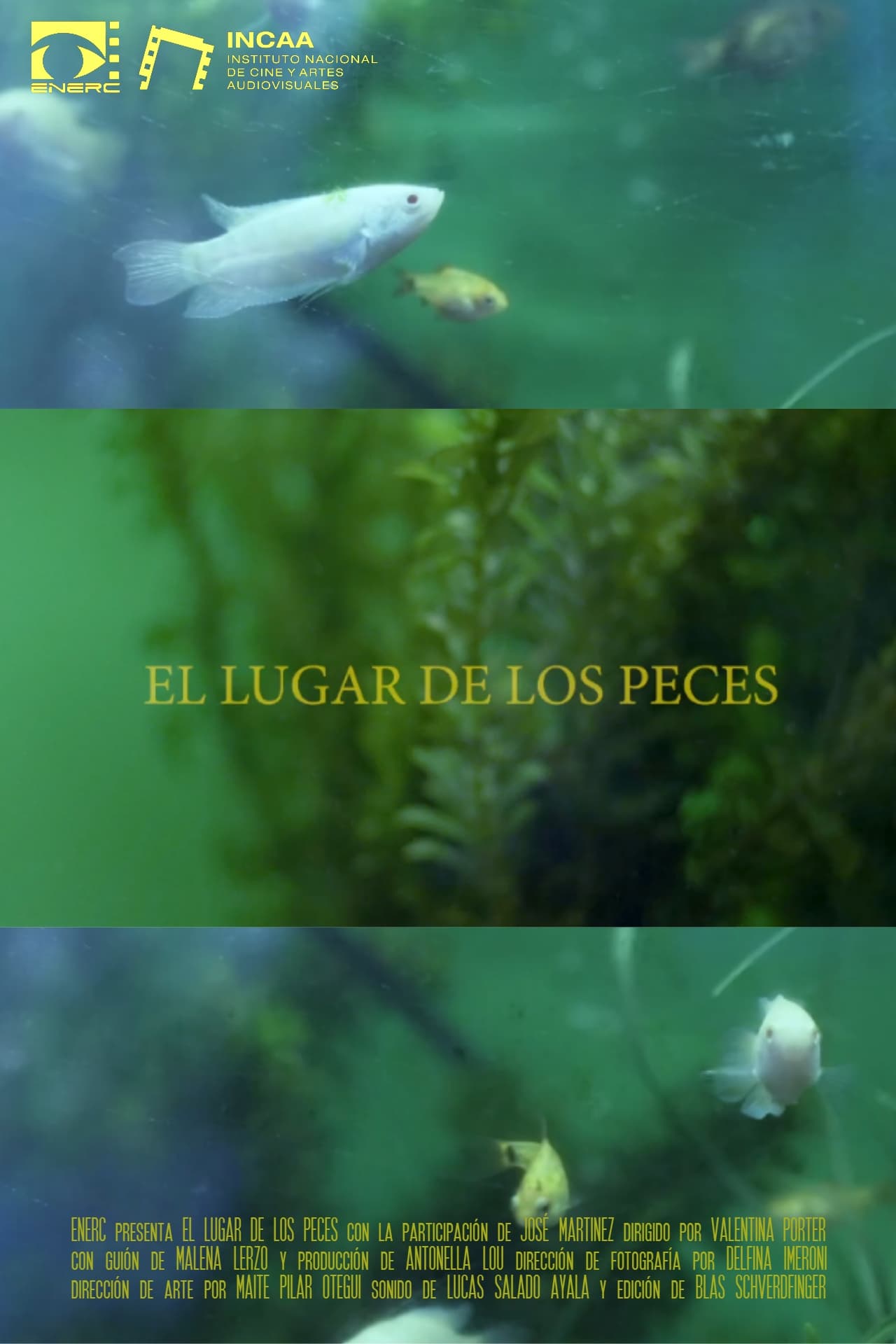 El Lugar de los Peces