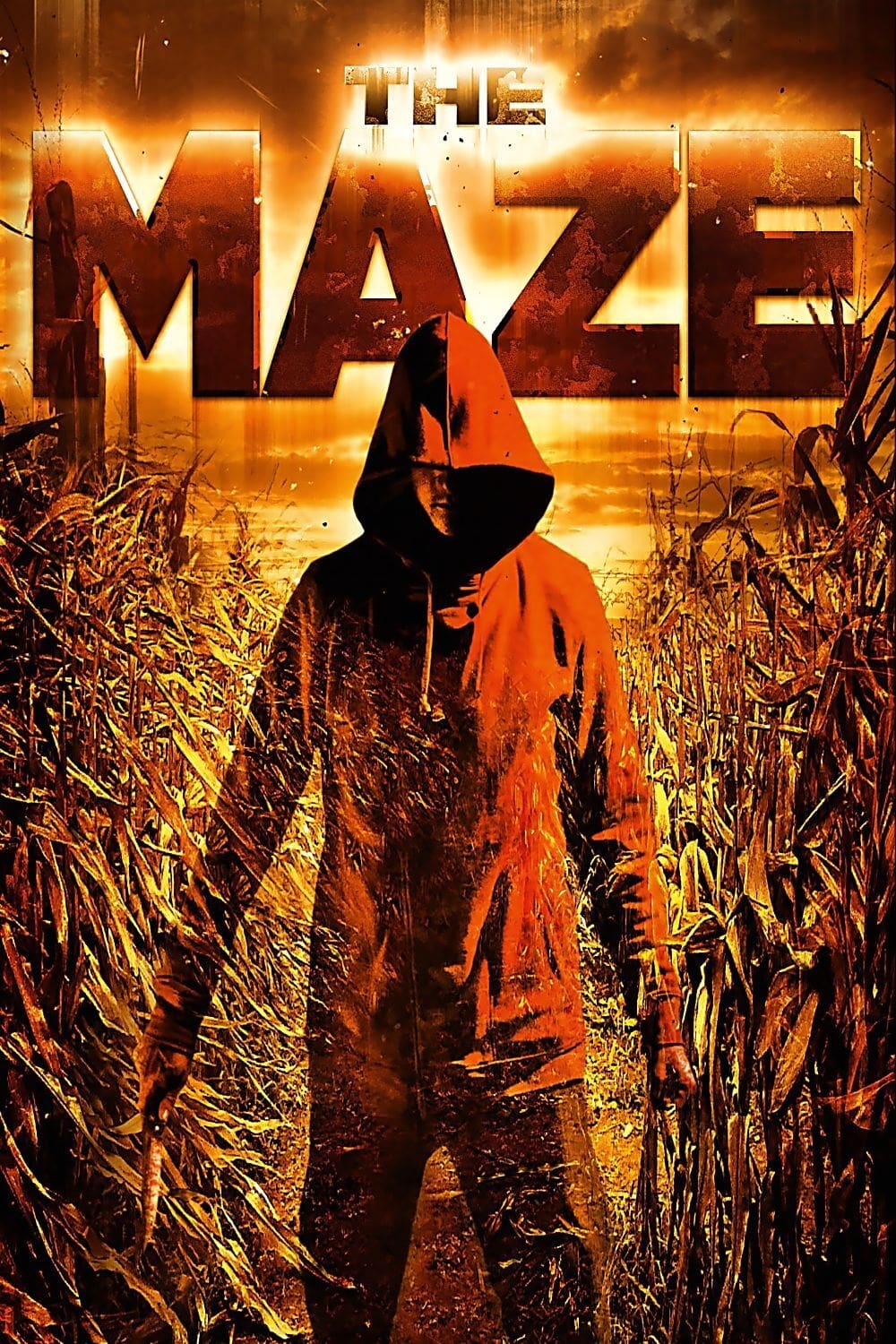 The Maze | The Maze