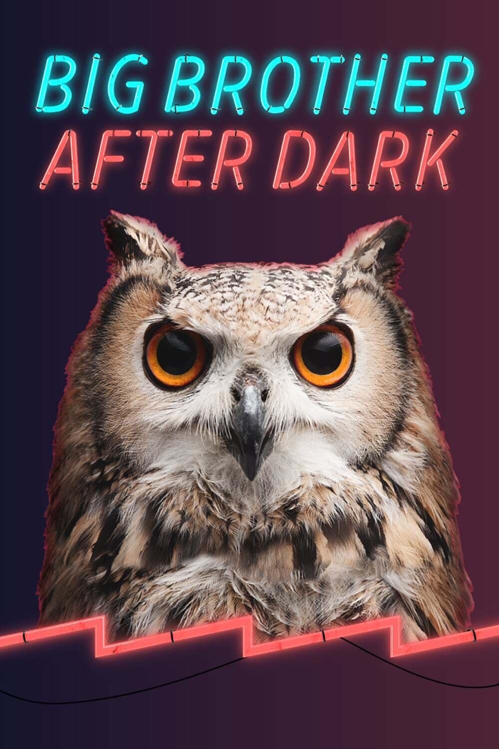 Big Brother: After Dark | Big Brother: After Dark