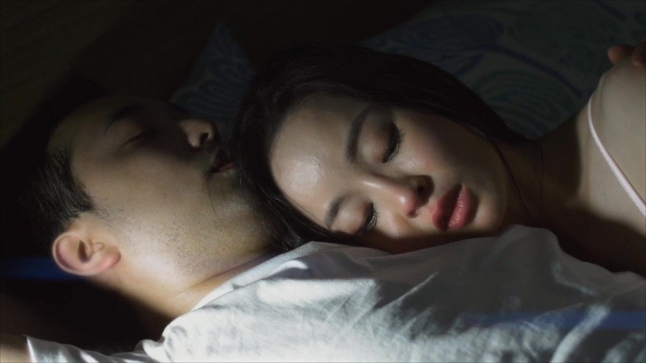 먹이사슬|먹이사슬
