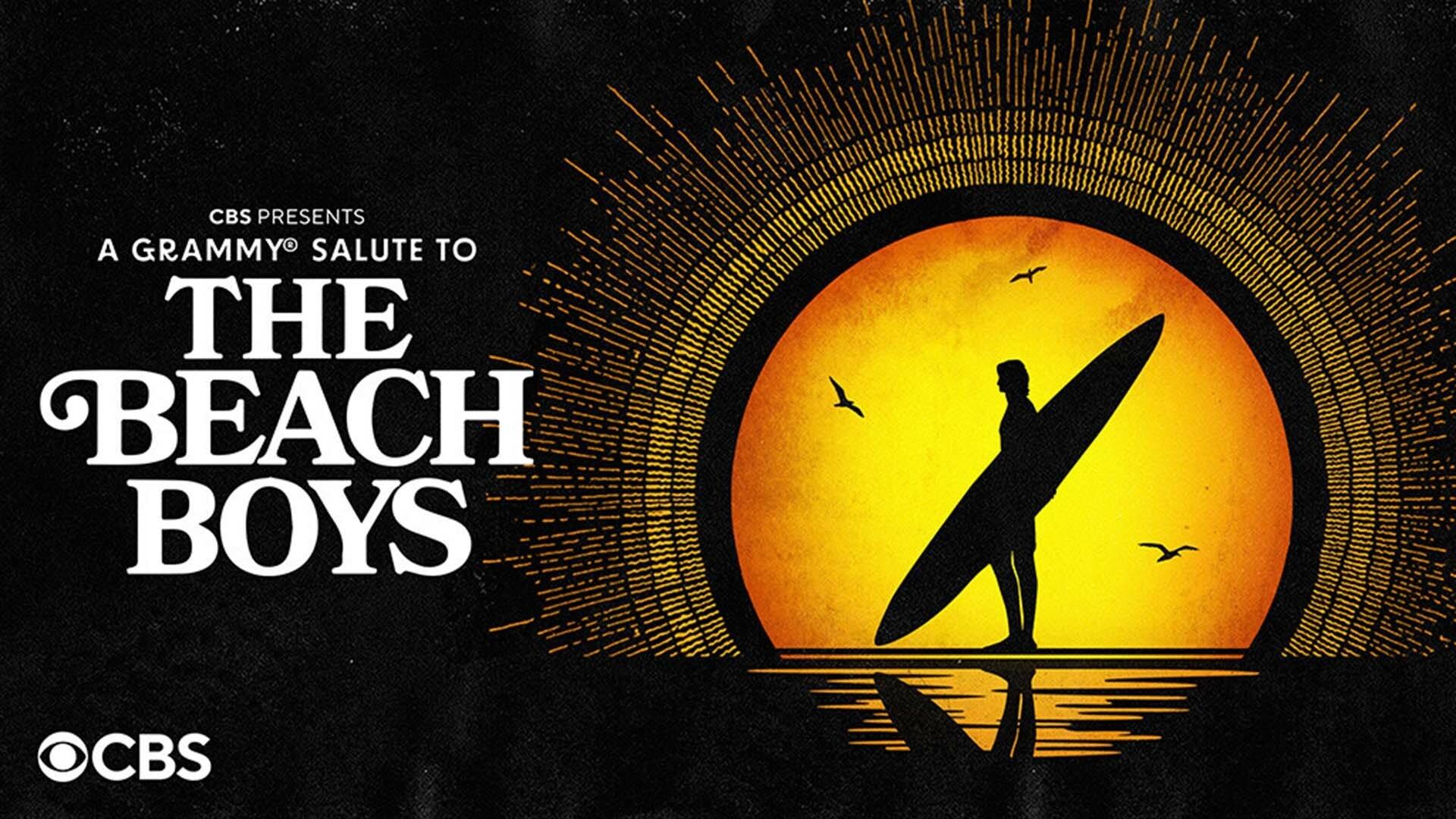 A Grammy Salute to The Beach Boys|A Grammy Salute to The Beach Boys