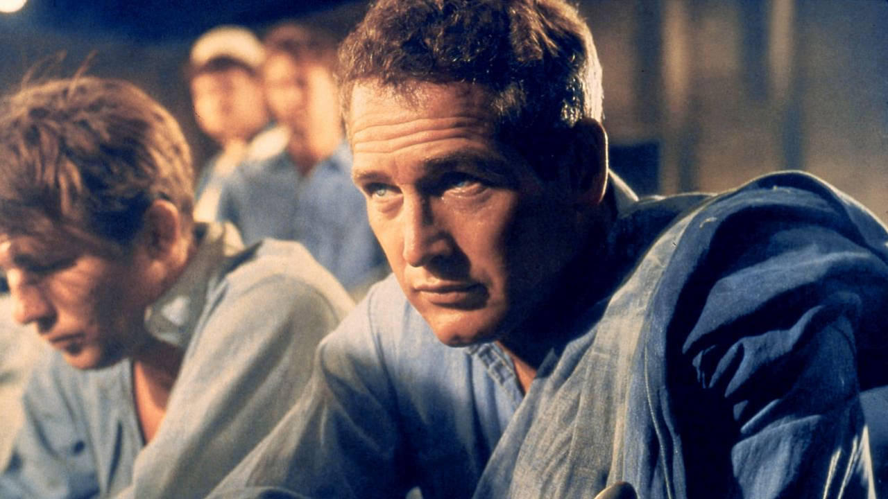 Paul Newman, l'intranquille|Paul Newman, l'intranquille