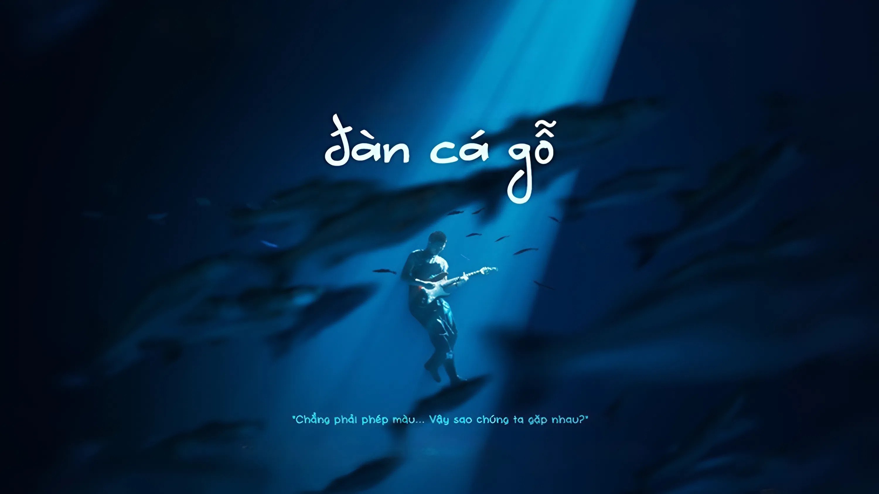 Đàn Cá Gỗ|Đàn Cá Gỗ