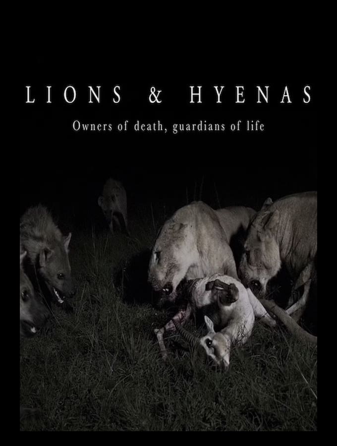 Lions and Hyenas: Owners of Death, Guardians of Life | Lions and Hyenas: Owners of Death, Guardians of Life