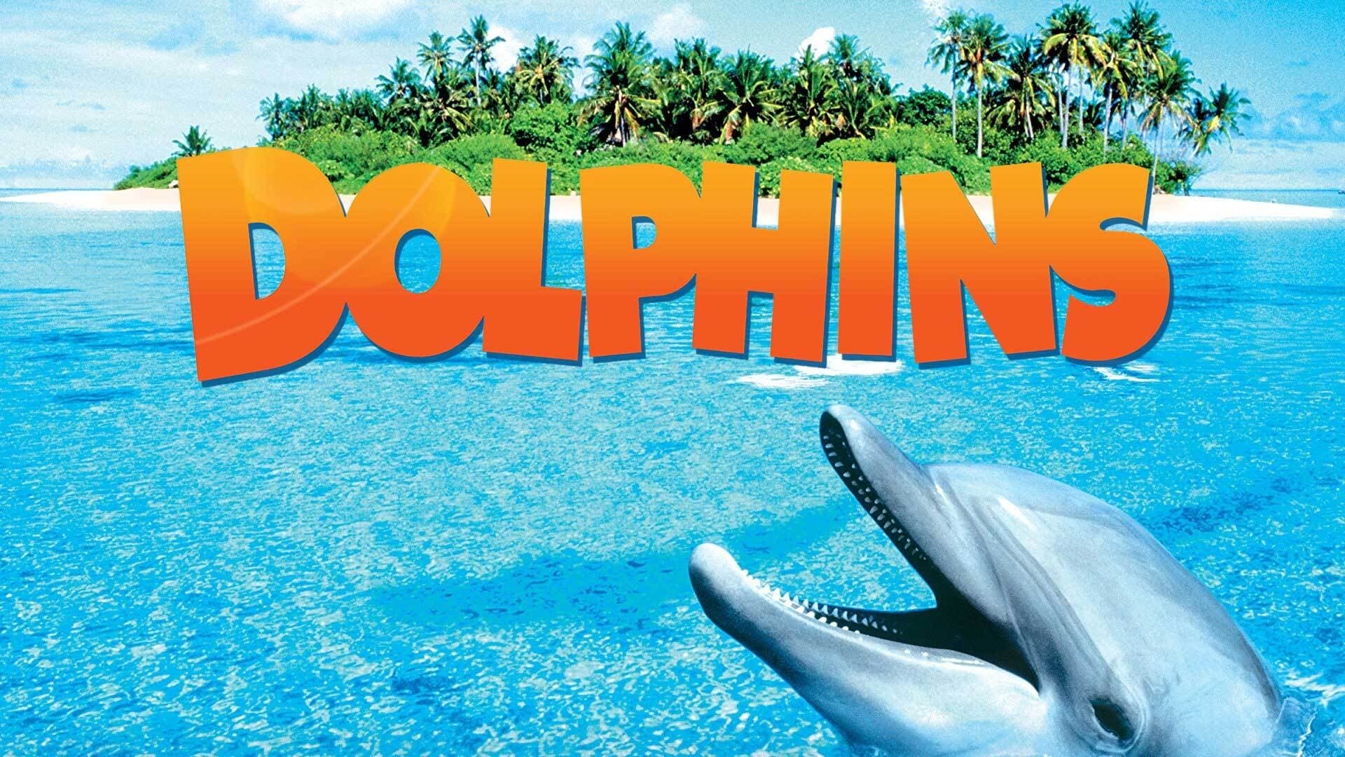 Dolphins|Dolphins