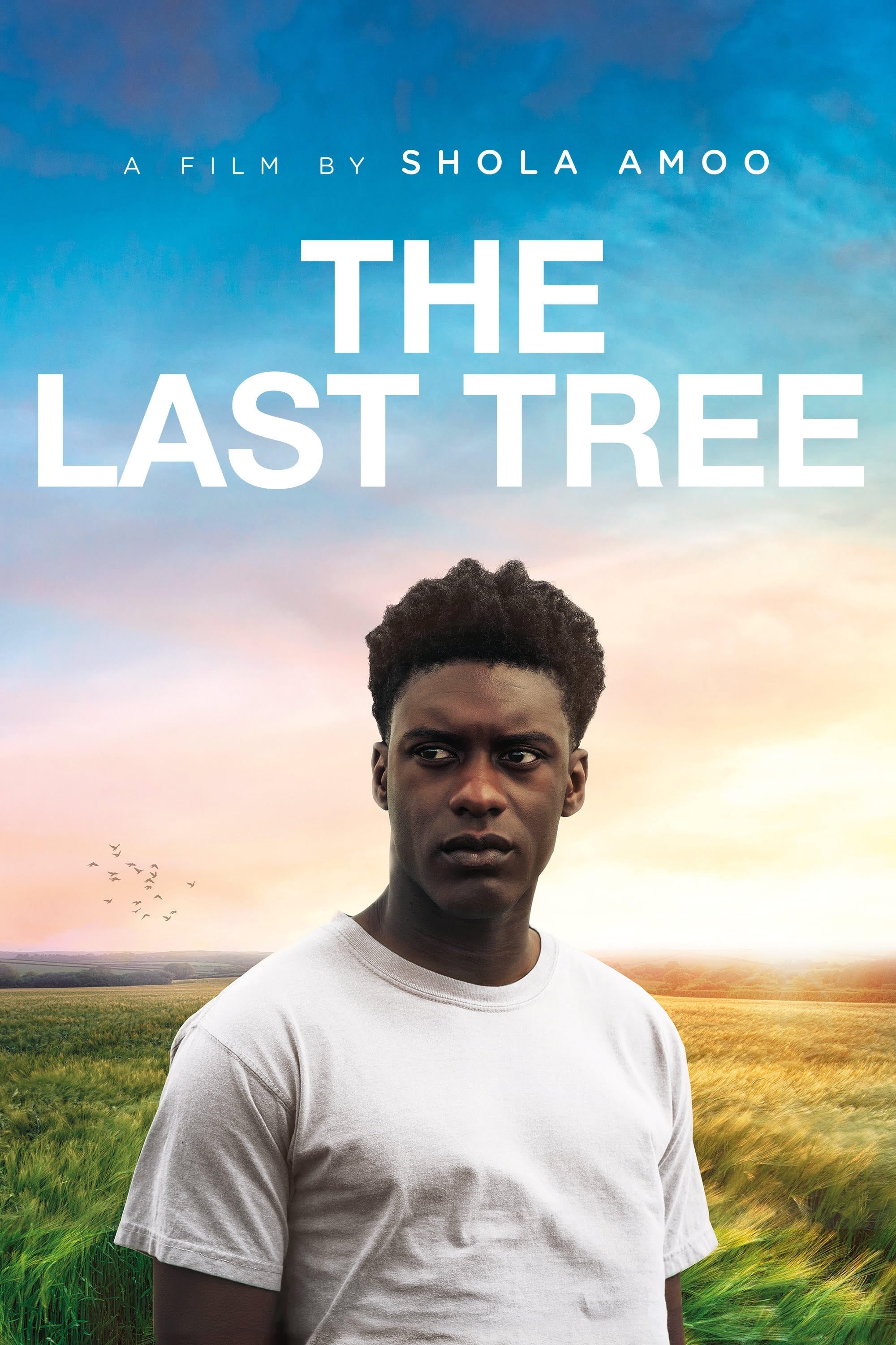 The Last Tree | The Last Tree