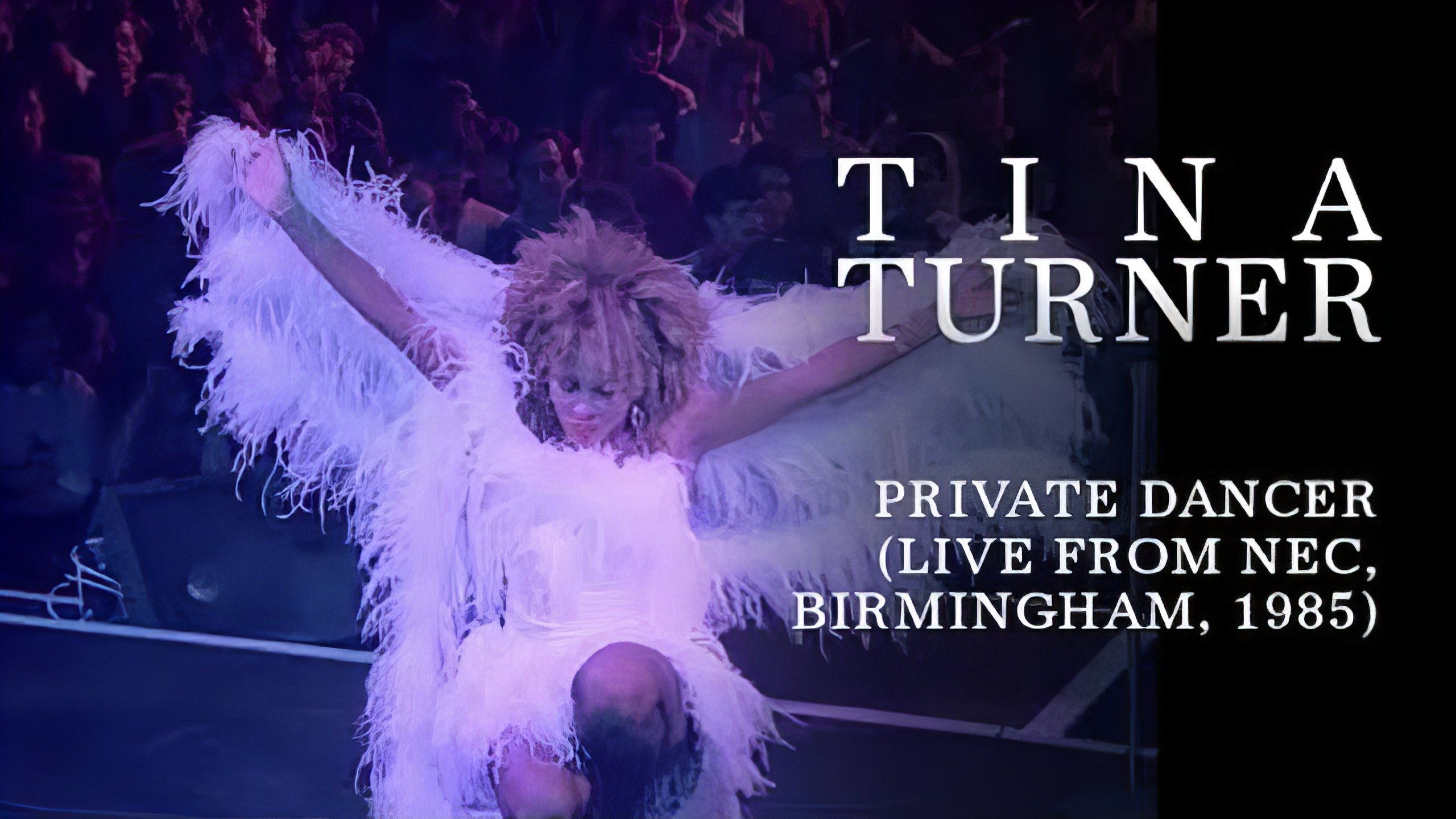 Tina Turner: Private Dancer Tour|Tina Turner: Private Dancer Tour