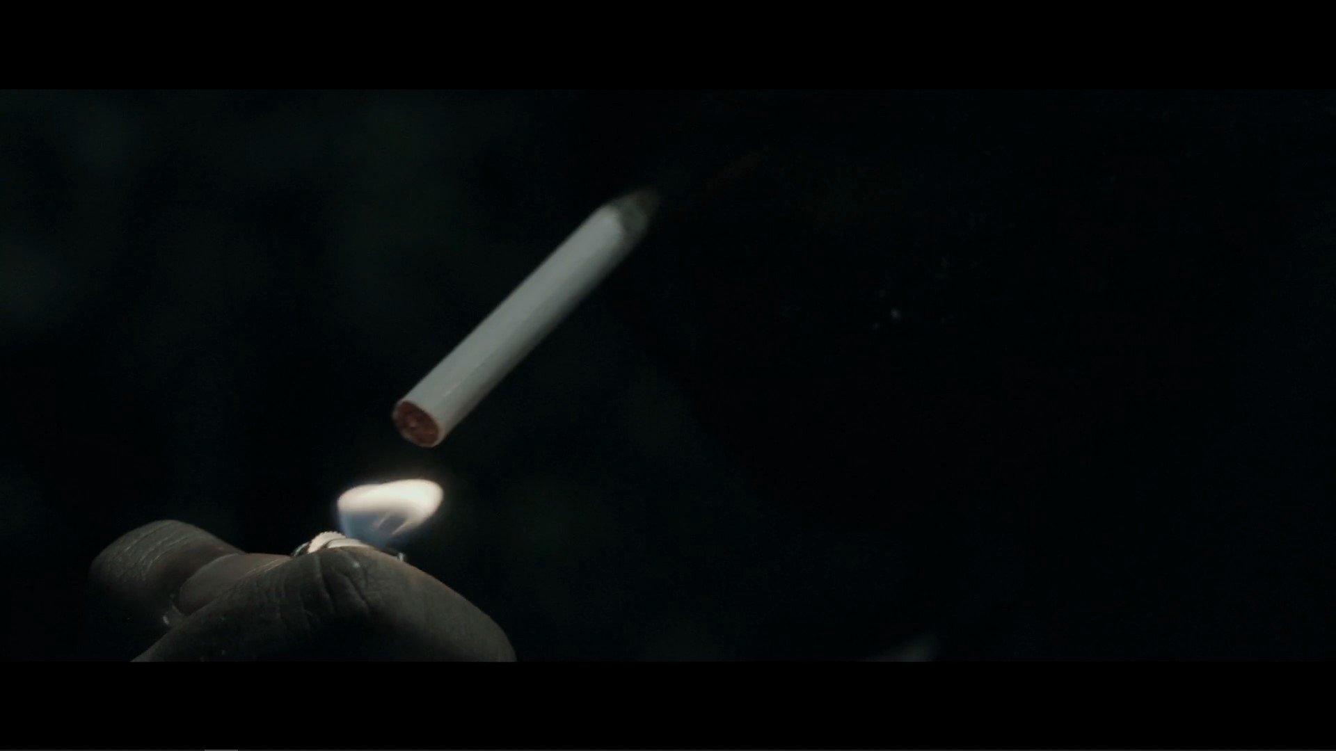 The Shell|The Shell