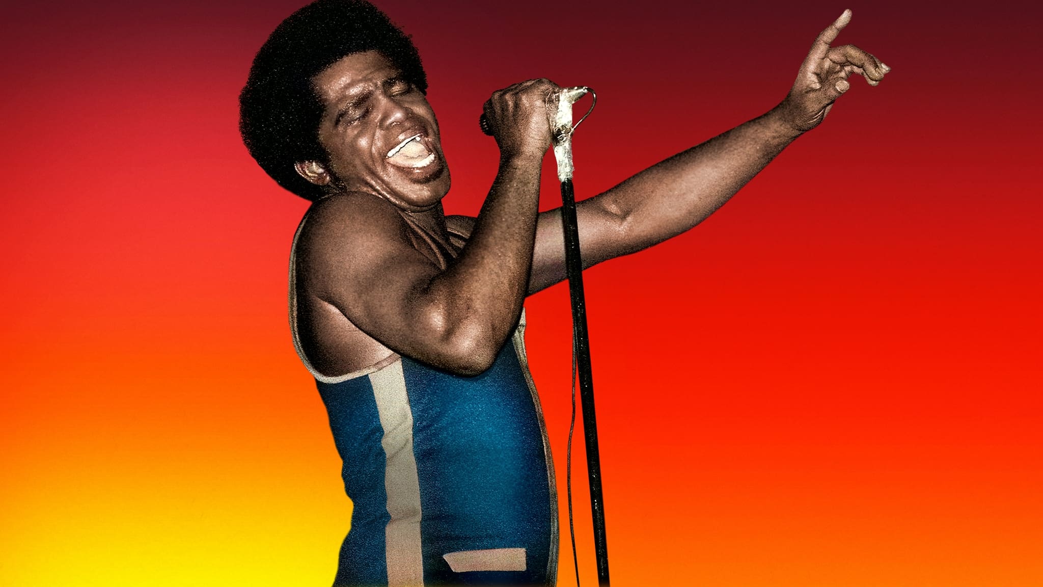 James Brown: Say It Loud|James Brown: Say It Loud