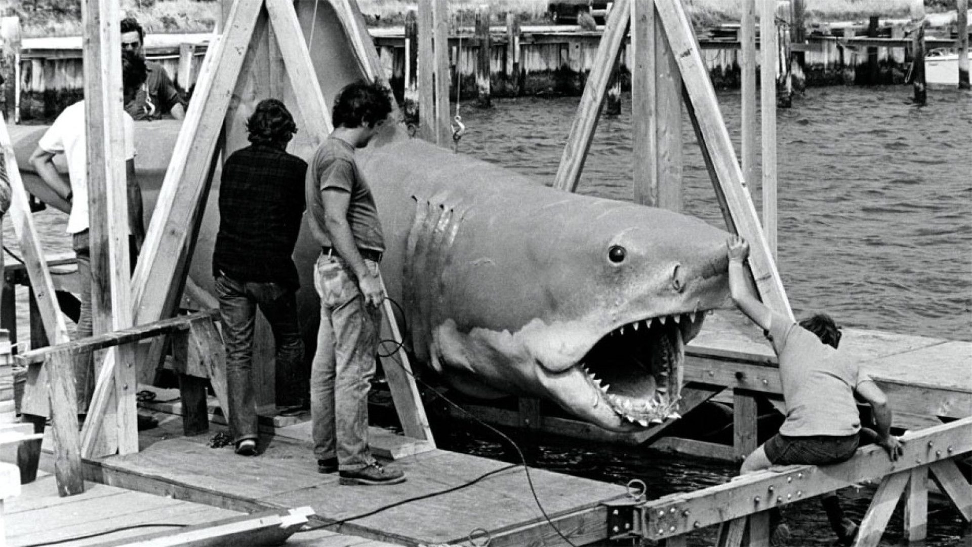 The Shark Is Still Working: The Impact & Legacy of "Jaws"|The Shark Is Still Working: The Impact & Legacy of "Jaws"