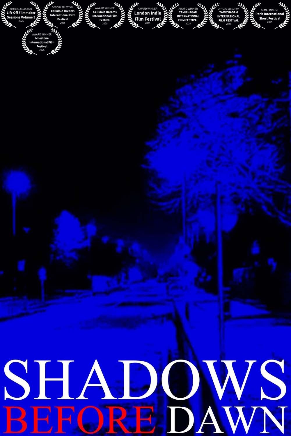 Shadows Before Dawn