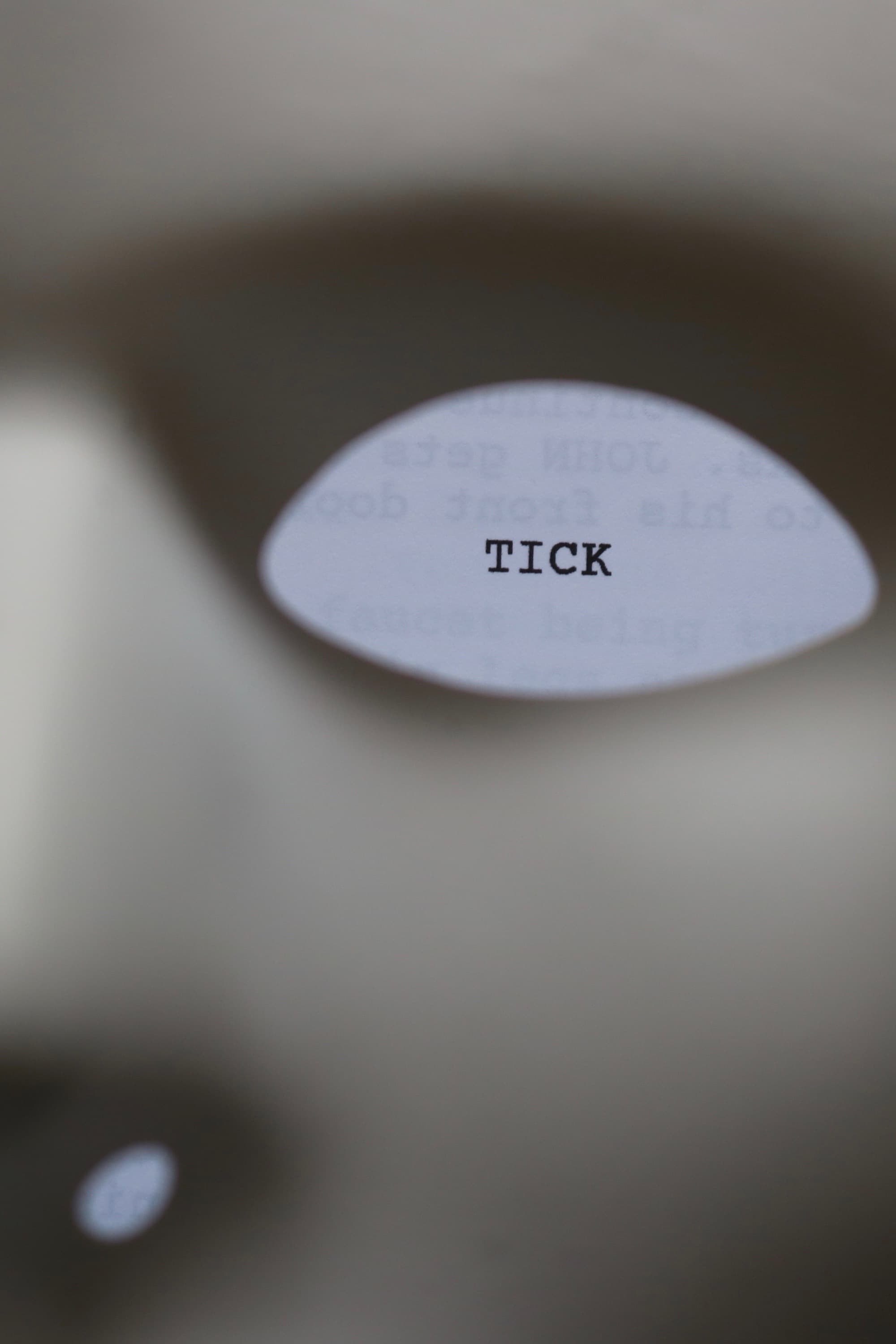 Tick | Tick