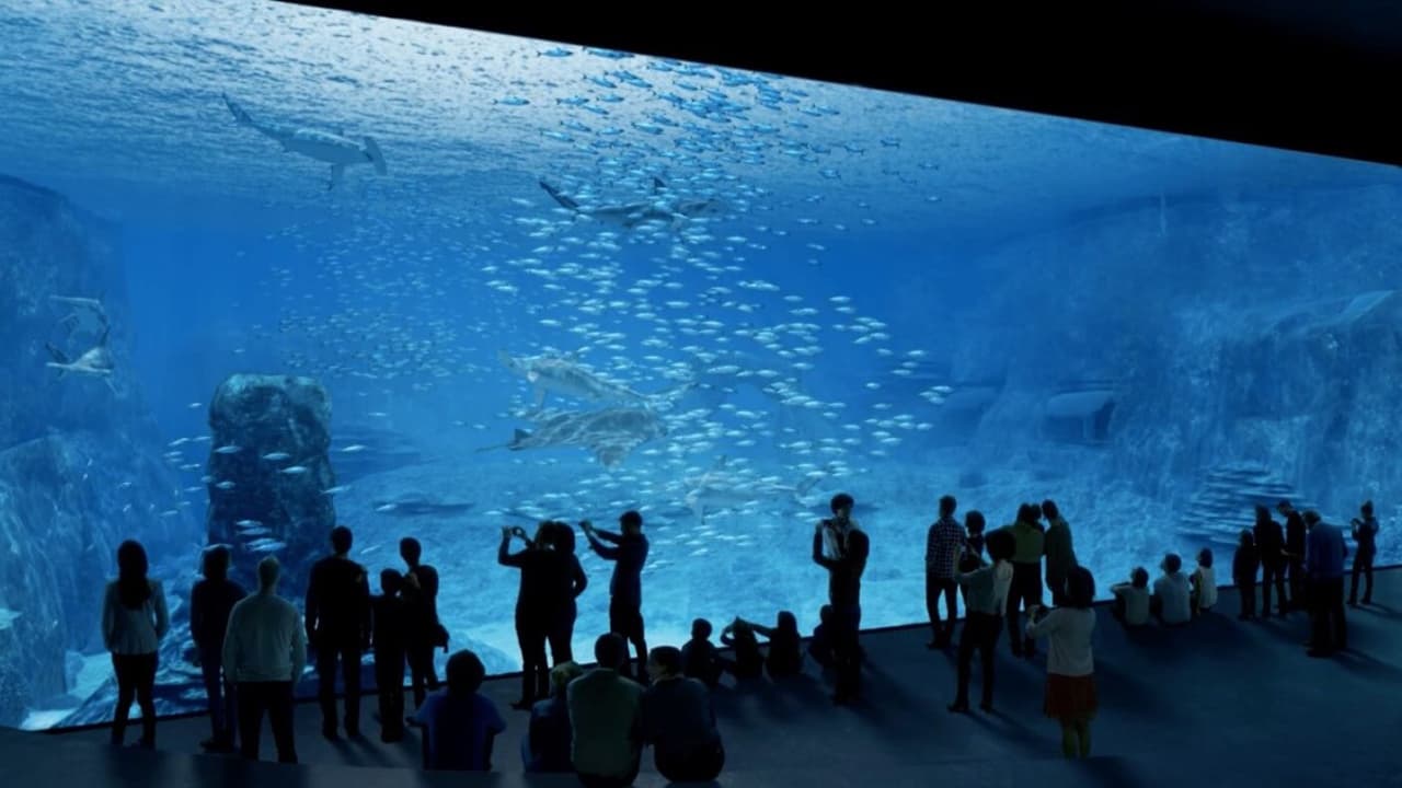 Nausicaa, le plus grand aquarium d'Europe|Nausicaa, le plus grand aquarium d'Europe