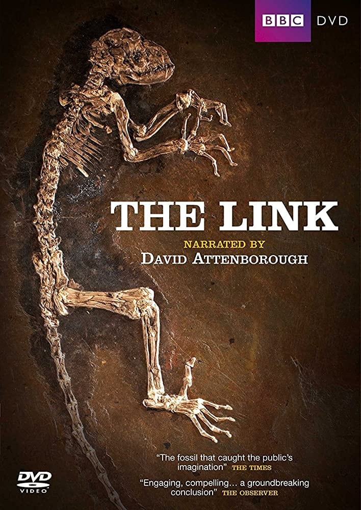 Uncovering Our Earliest Ancestor: The Link | Uncovering Our Earliest Ancestor: The Link