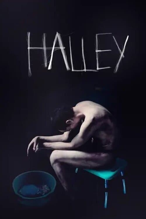 Halley | Halley