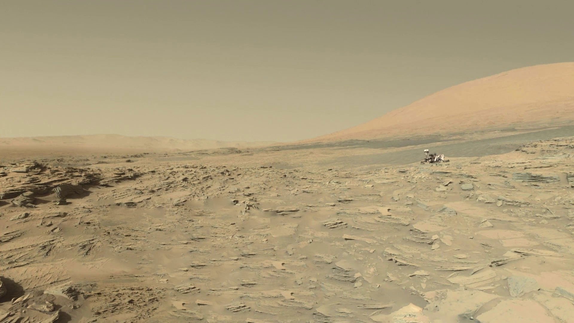The Voyage of Curiosity|The Voyage of Curiosity