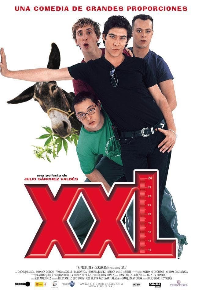 XXL | XXL