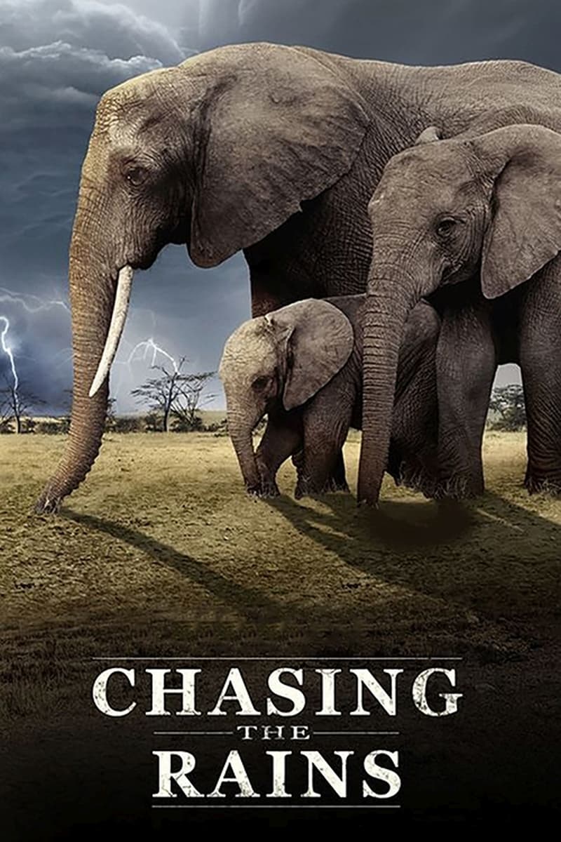 Chasing the Rains | Chasing the Rains