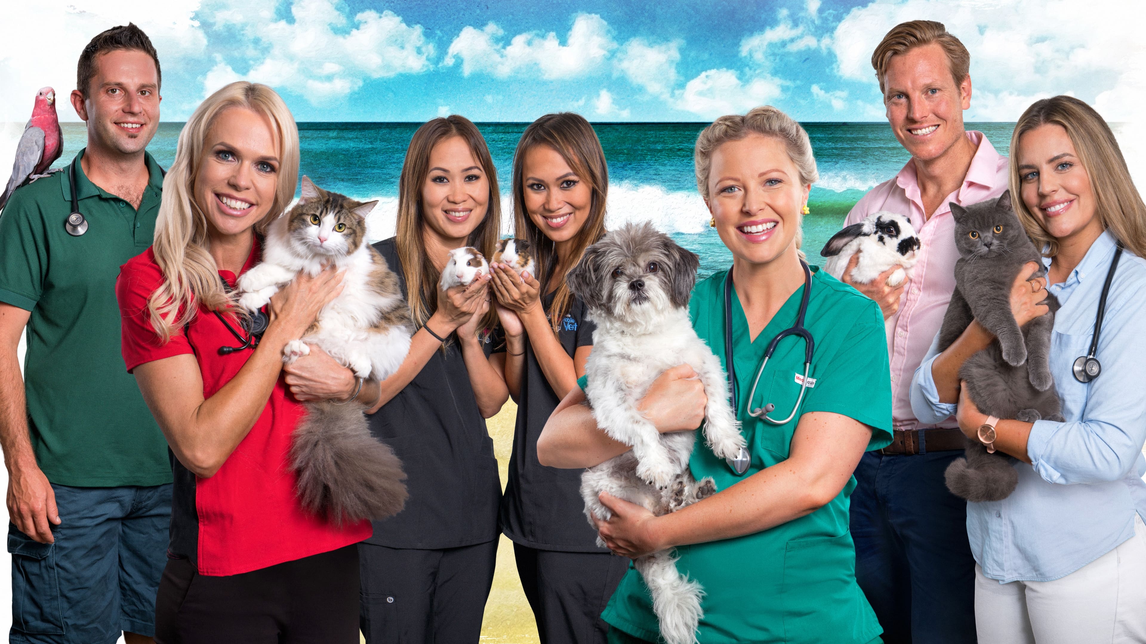 Bondi Vet: Coast to Coast|Bondi Vet: Coast to Coast