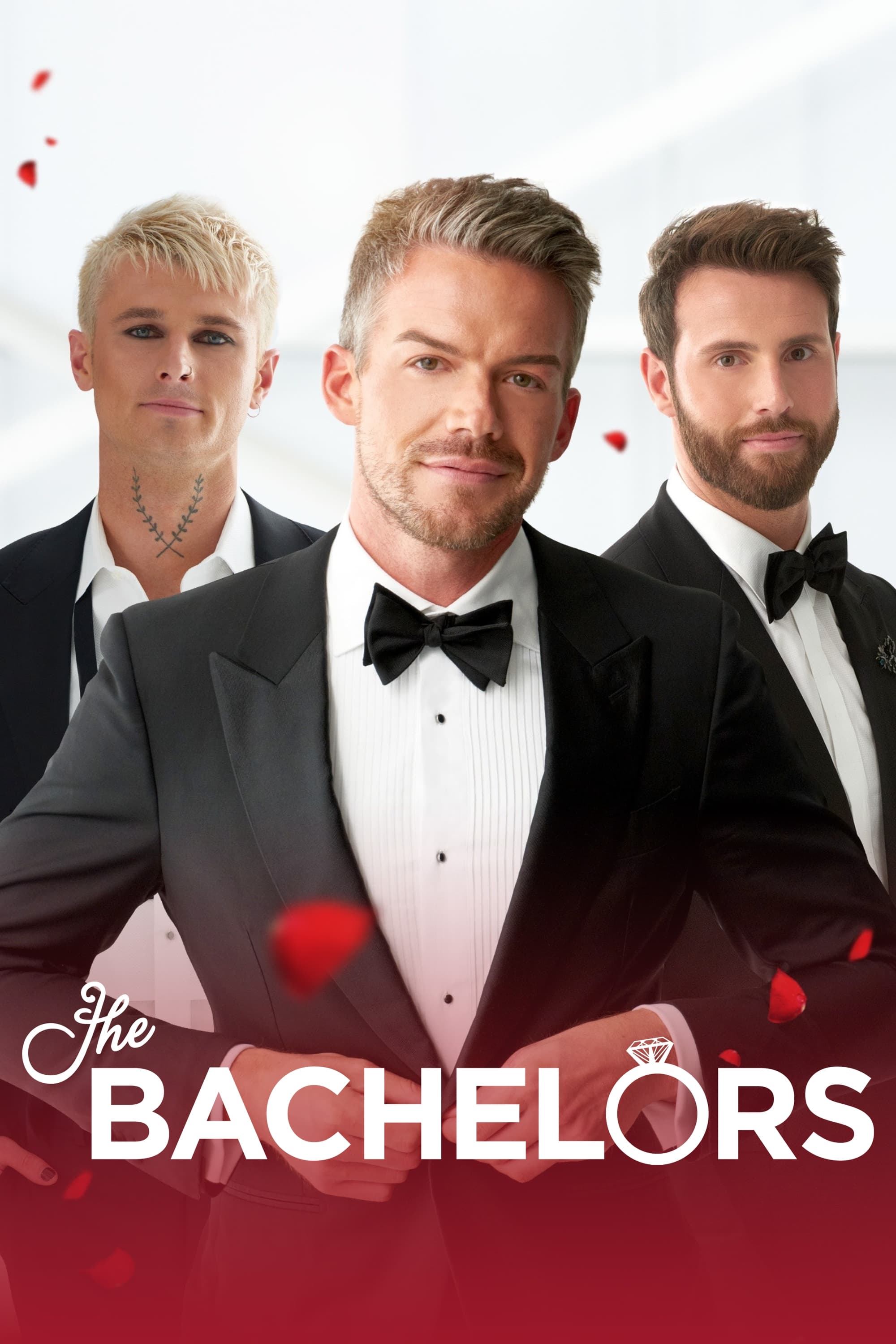 The Bachelor | The Bachelor