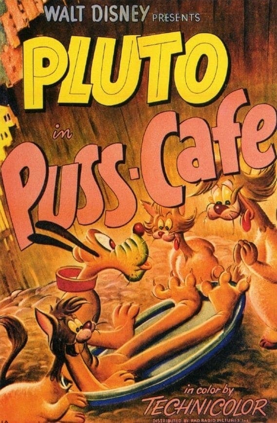 Puss Cafe | Puss Cafe