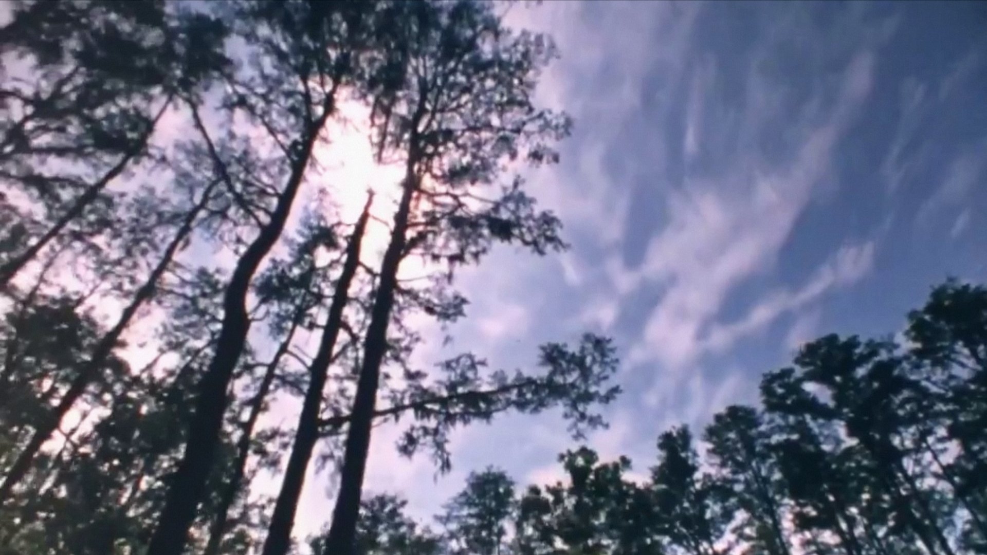 Wilderness: A Country in the Mind|Wilderness: A Country in the Mind