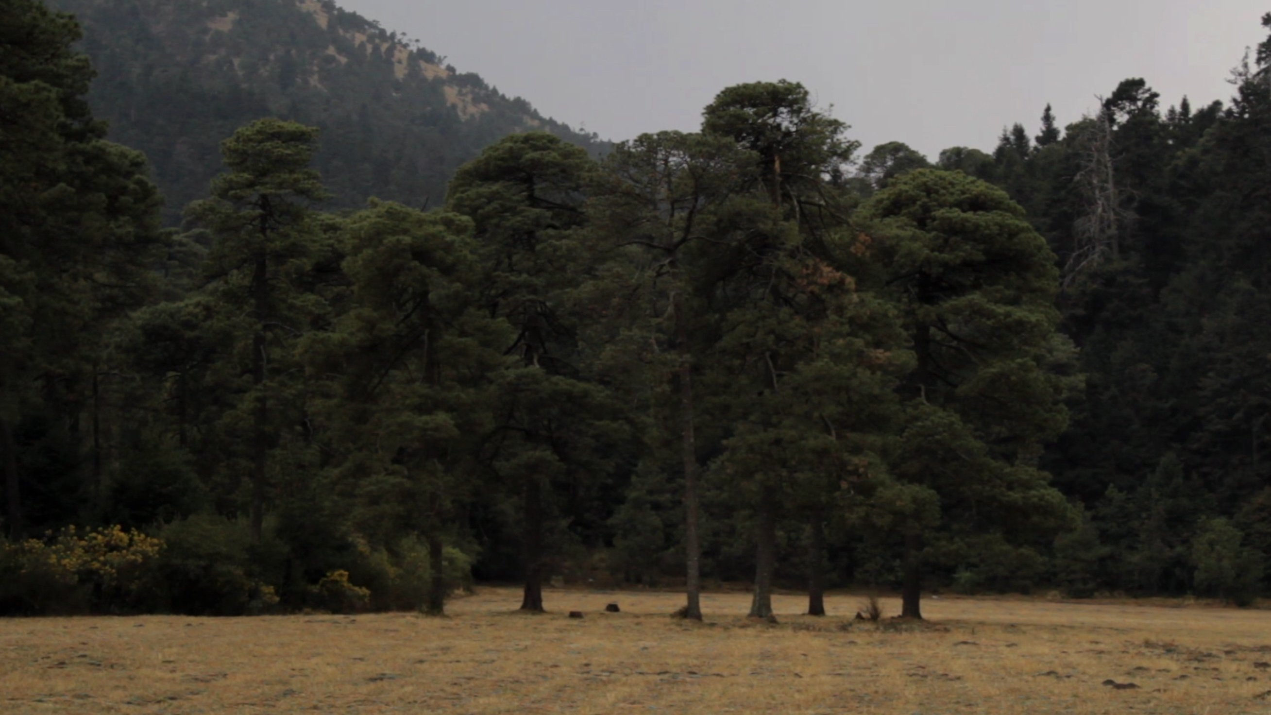 تصویر 2