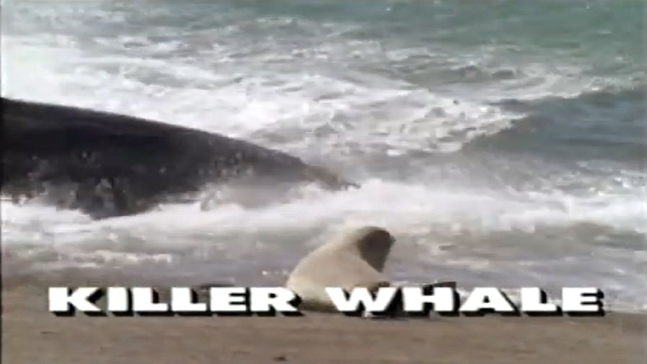 Predators of the Wild: Killer Whale|Predators of the Wild: Killer Whale