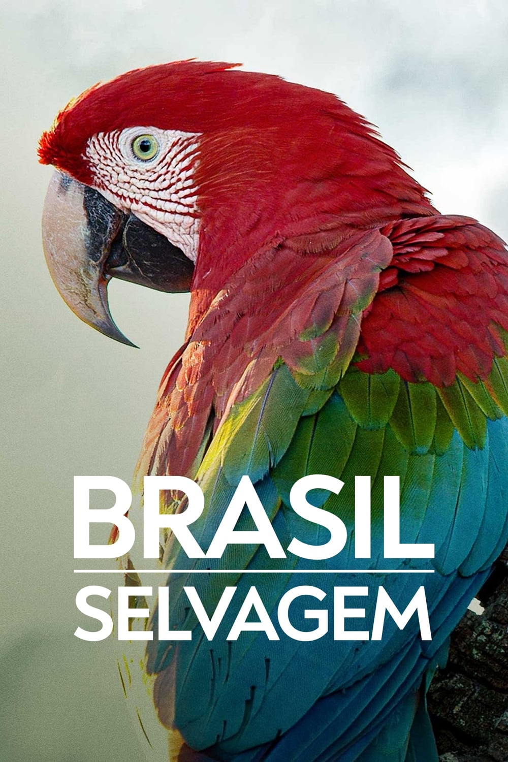 Brasil Selvagem