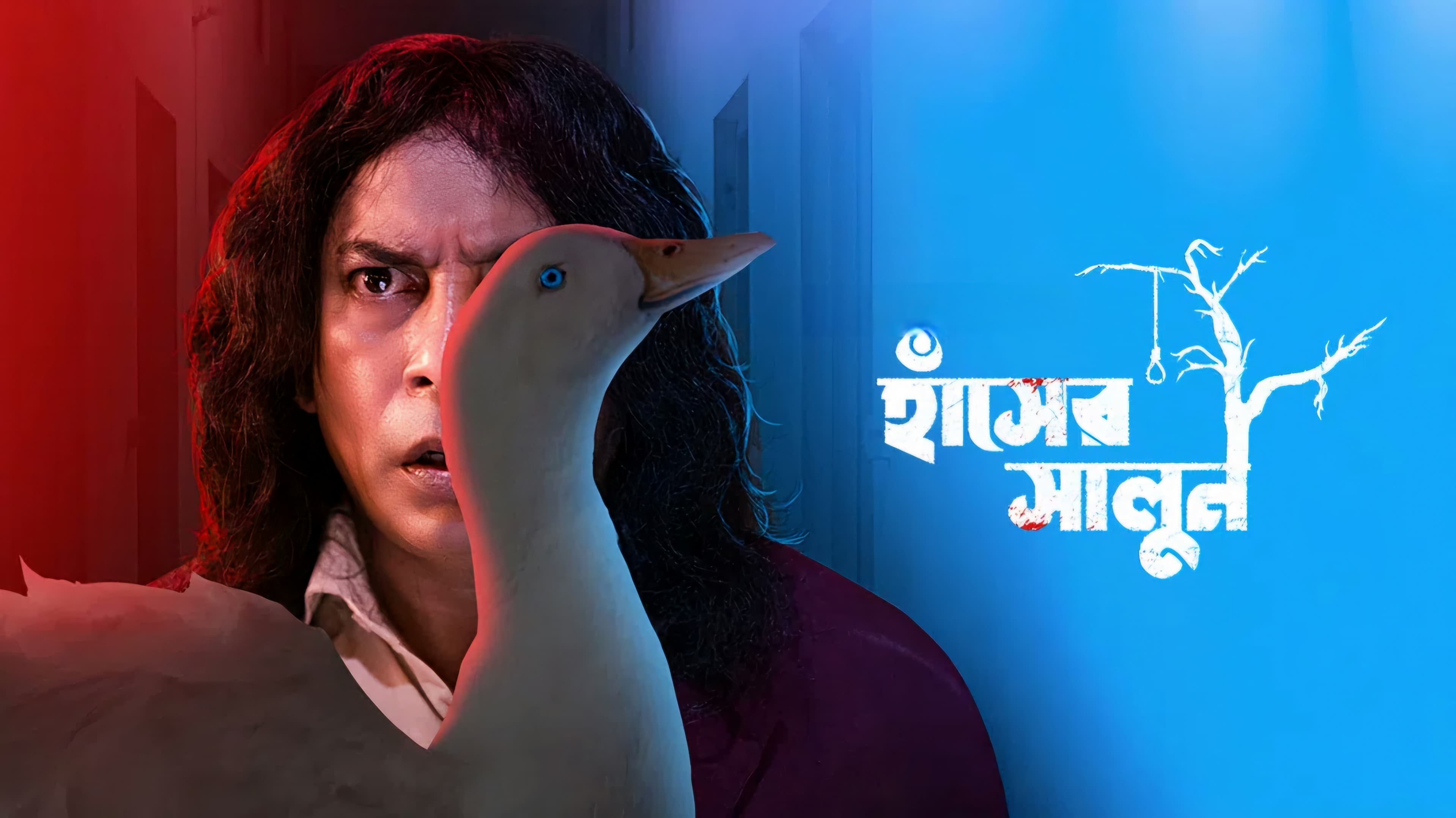 হাঁসের সালুন|হাঁসের সালুন
