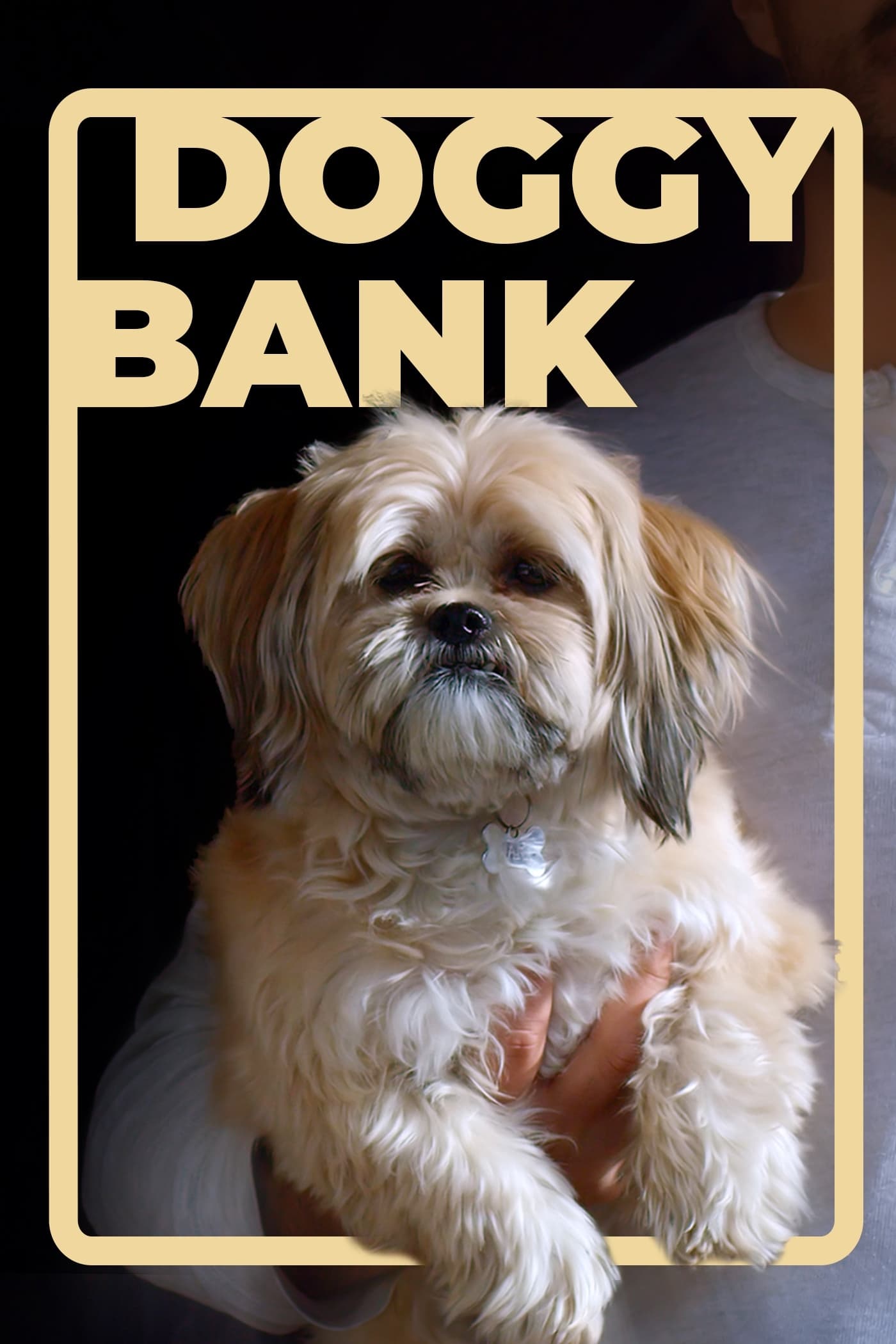 Doggy Bank | Doggy Bank