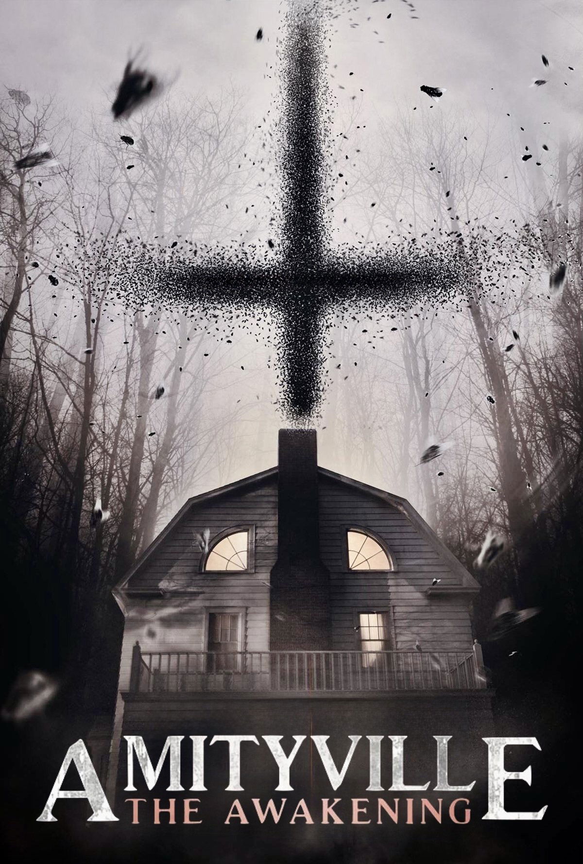 Amityville: The Awakening