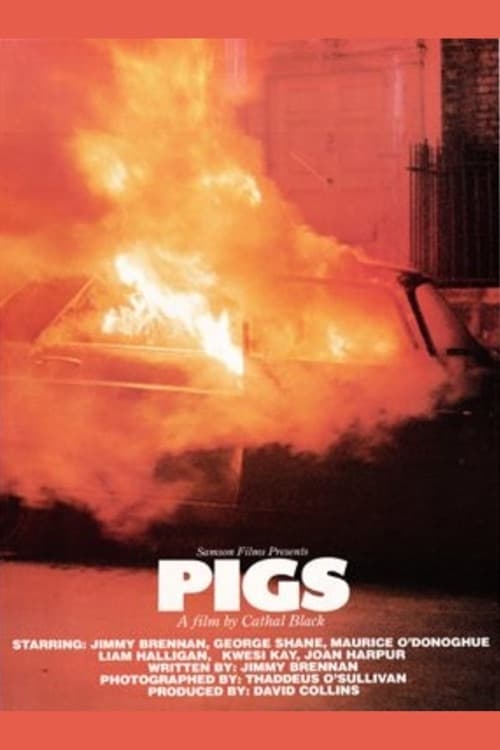 Pigs | Pigs