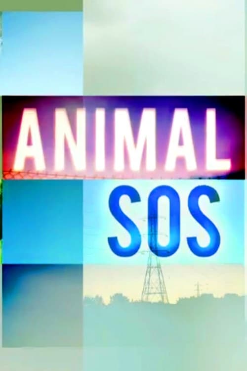 Animal SOS