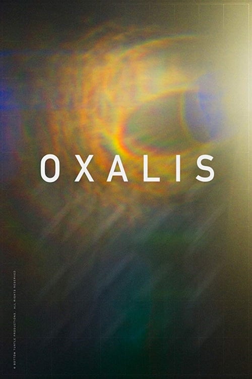 Oxalis | Oxalis