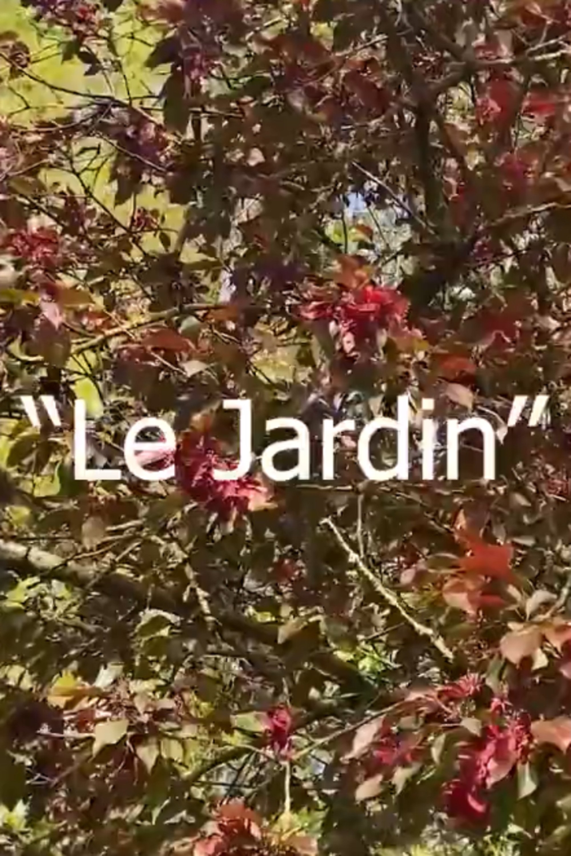 Le Jardin