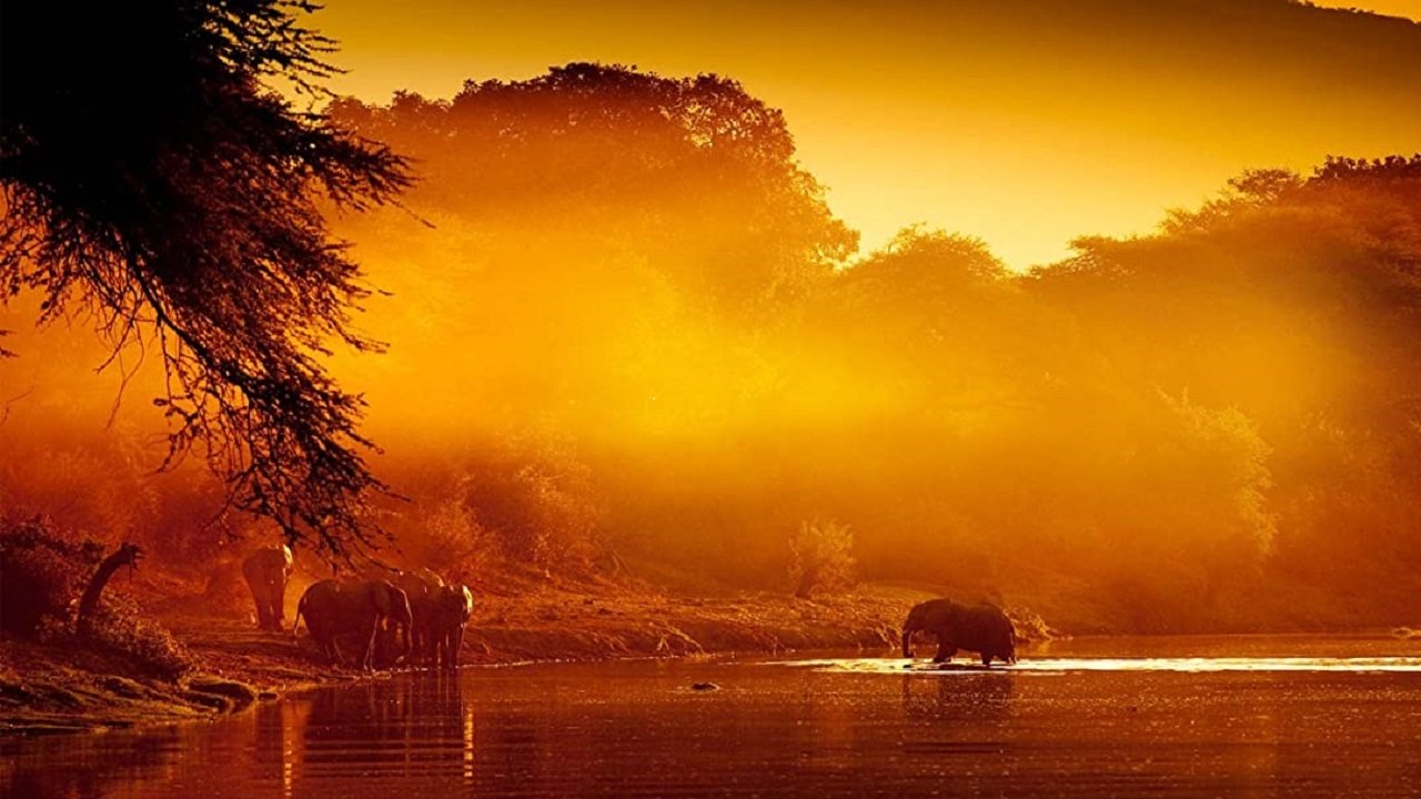 Zambezi: Force of Life|Zambezi: Force of Life