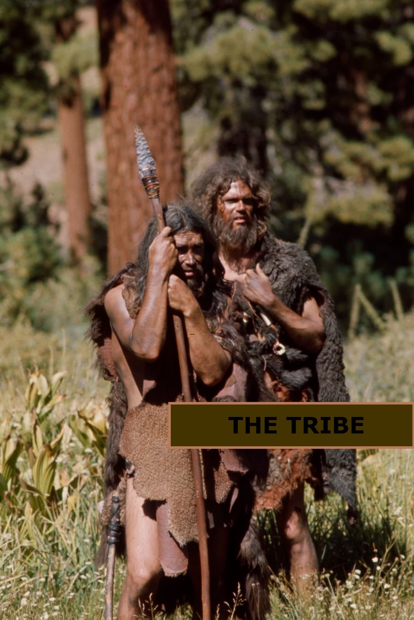 The Tribe | The Tribe