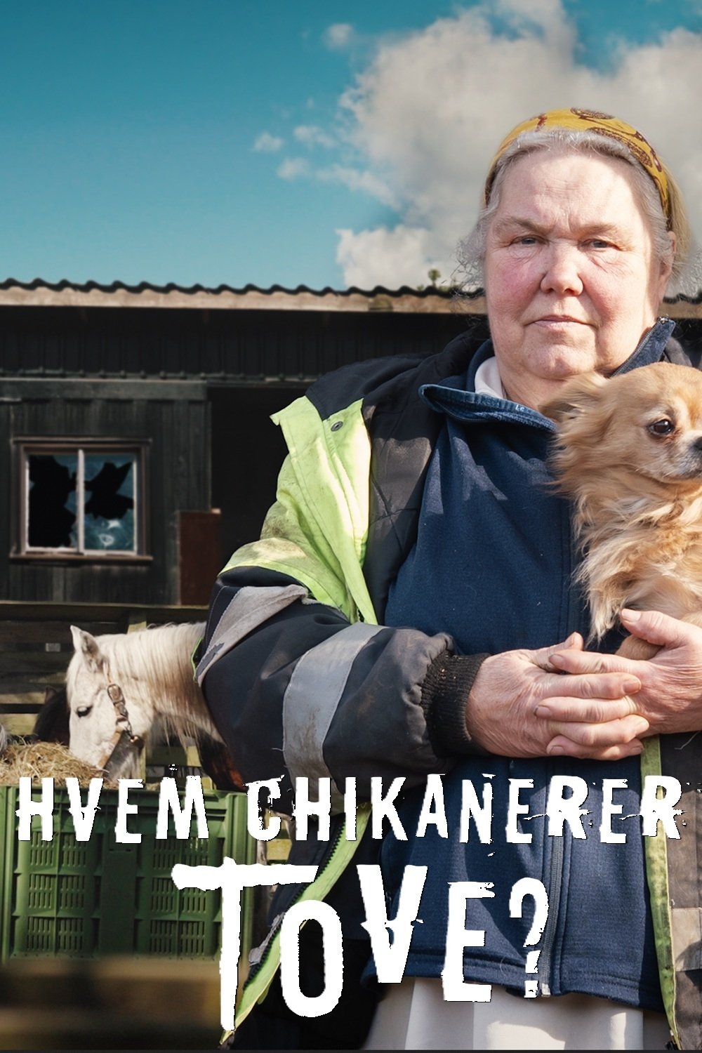 Hvem chikanerer Tove?