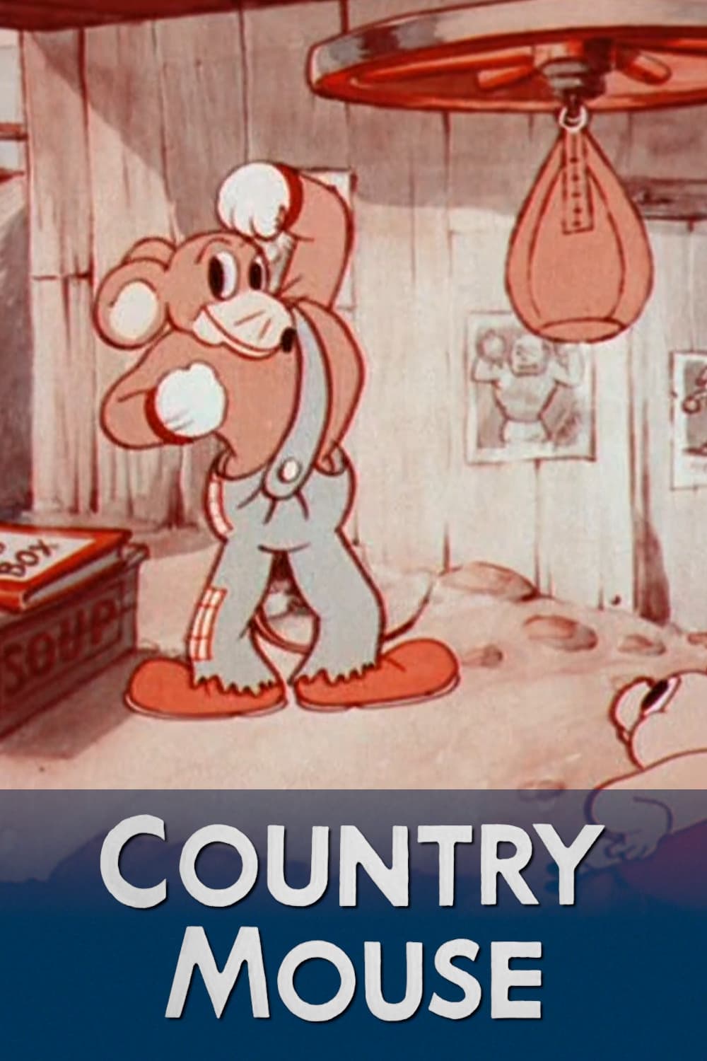 Country Mouse | Country Mouse