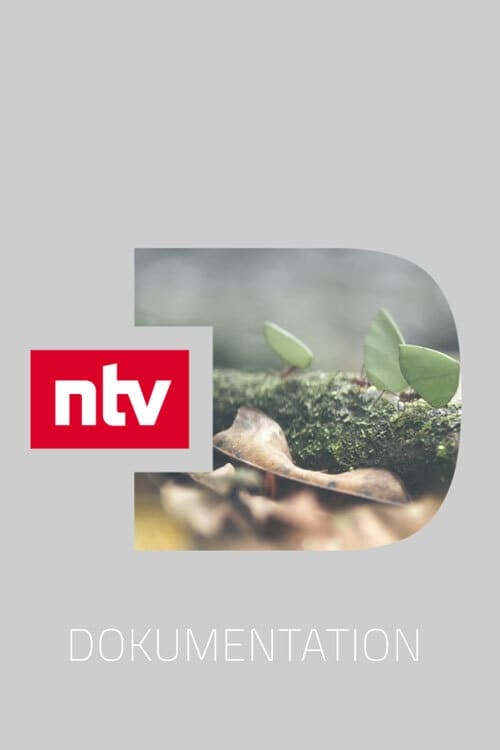 ntv Dokumentation | ntv Dokumentation