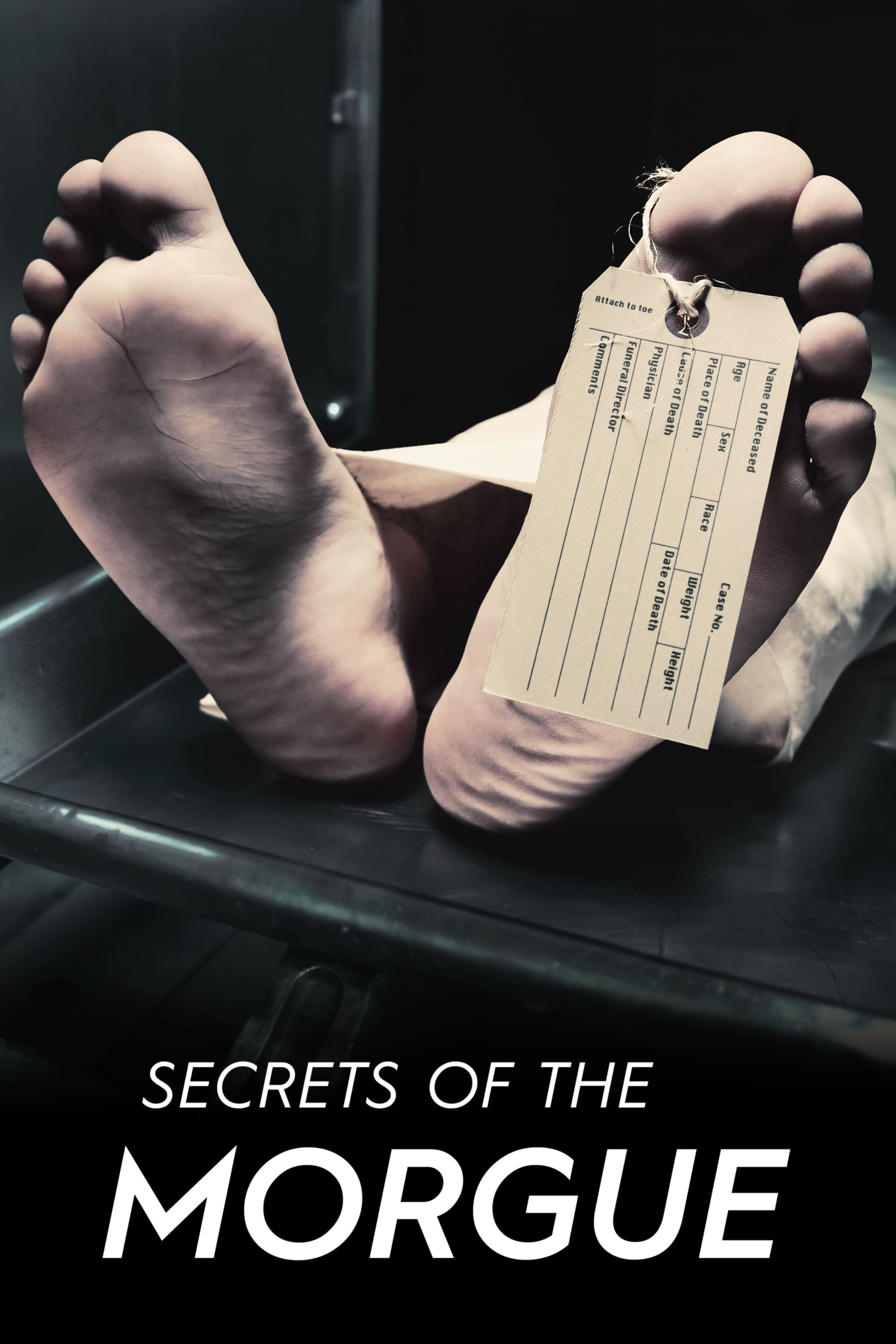 Secrets of the Morgue | Secrets of the Morgue