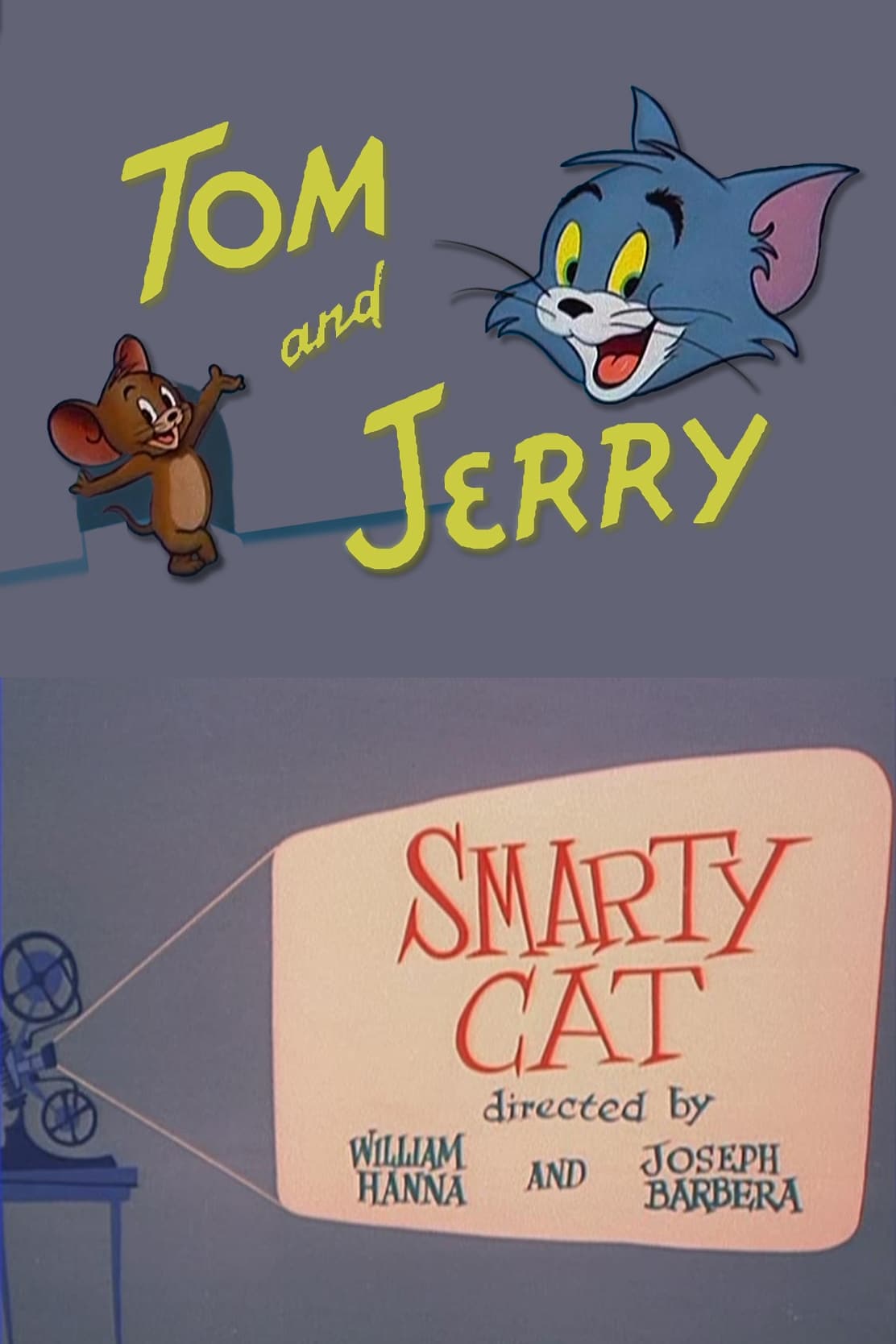 Smarty Cat | Smarty Cat