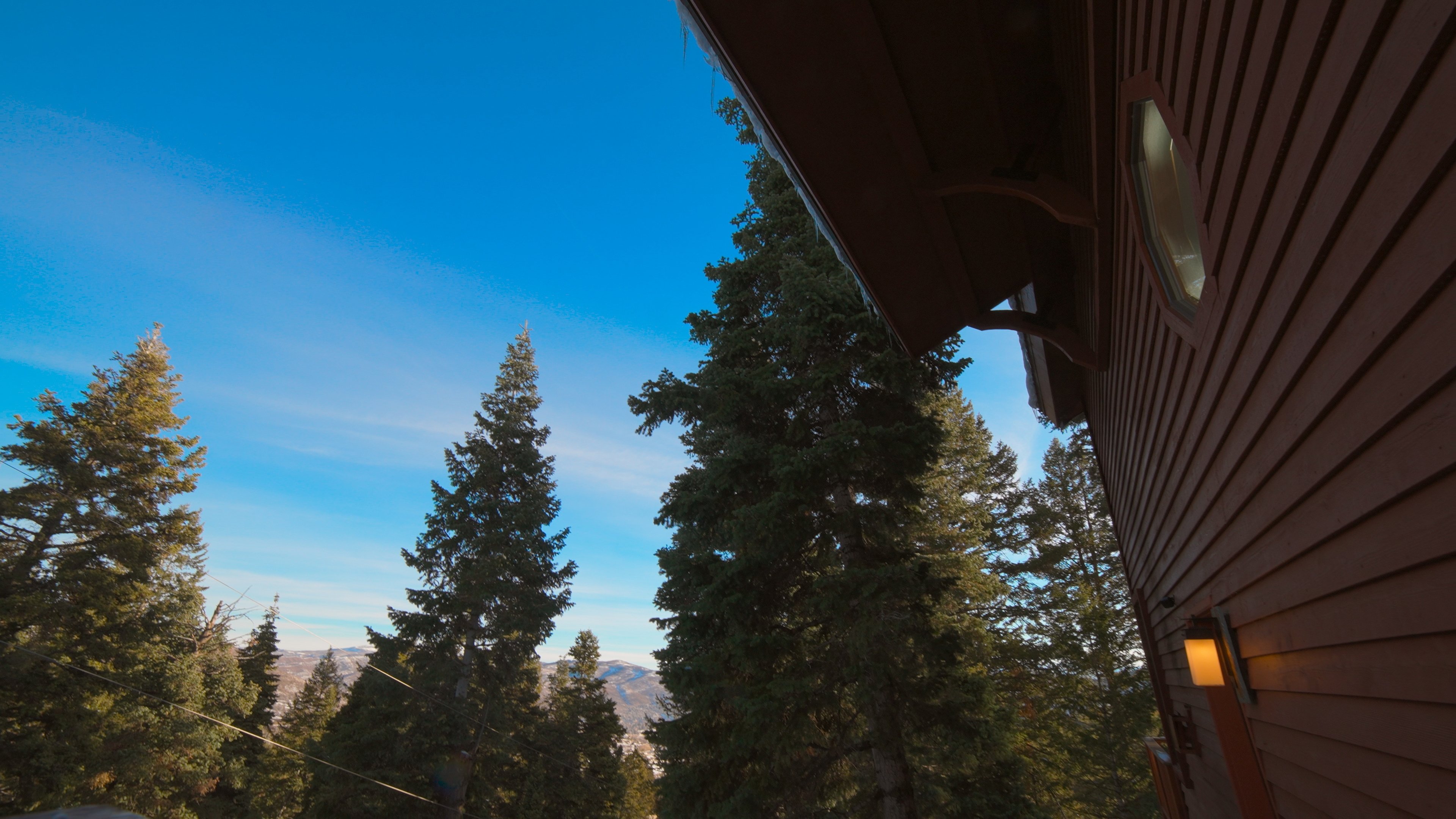 Donner Party 2|Donner Party 2