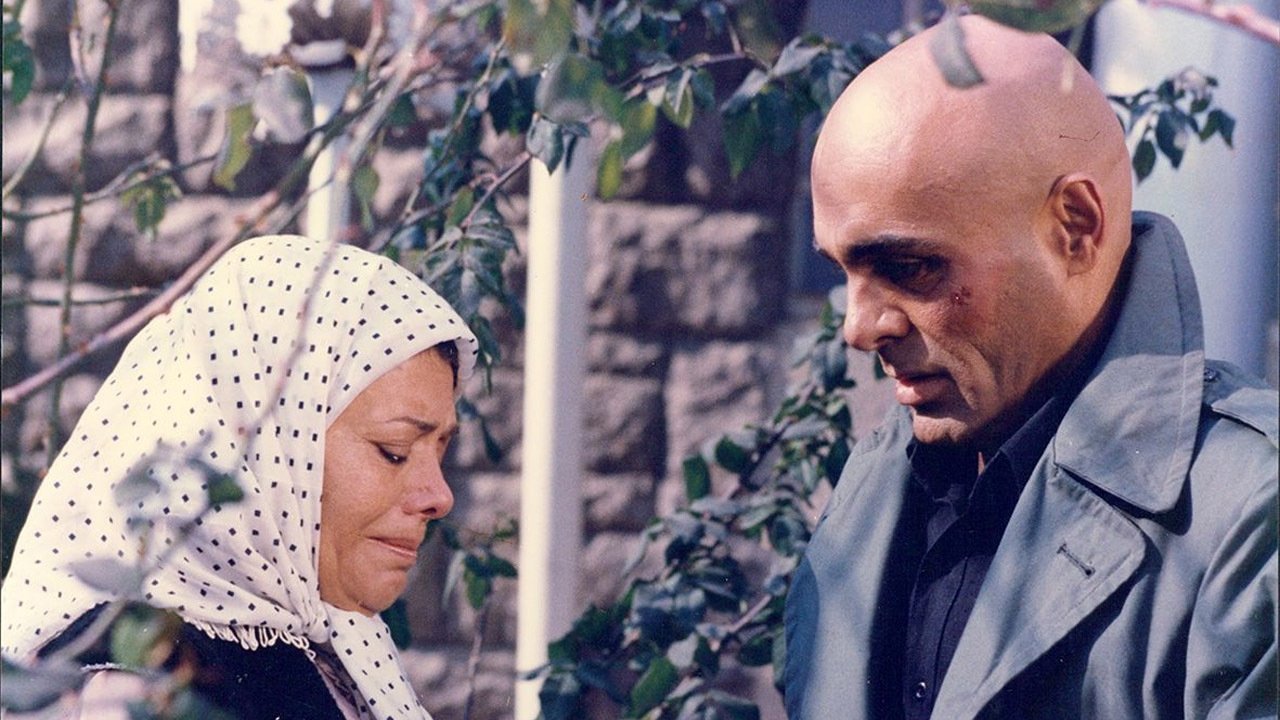 تاراج|تاراج