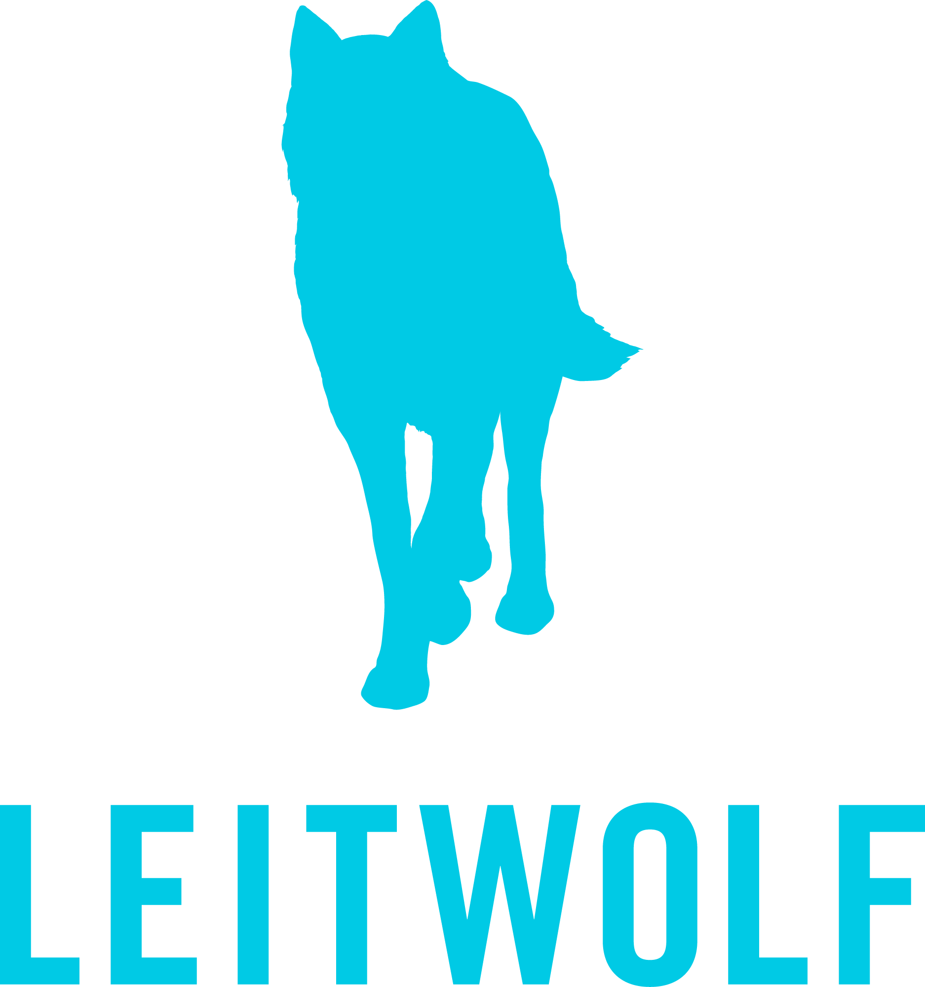 Leitwolf Filmproduktion