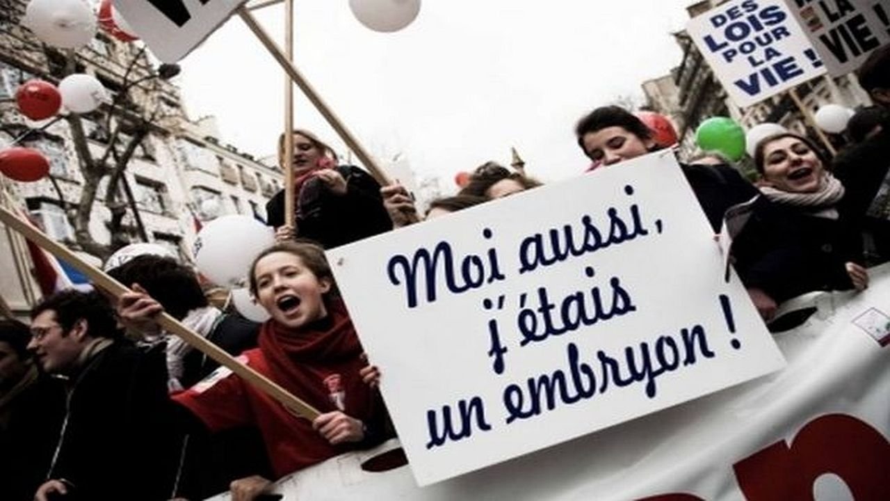 Avortement, les croisés contre-attaquent|Avortement, les croisés contre-attaquent