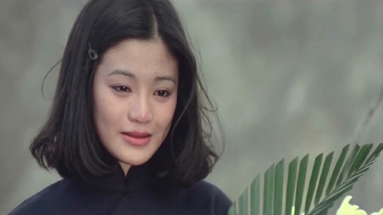 梅花|梅花