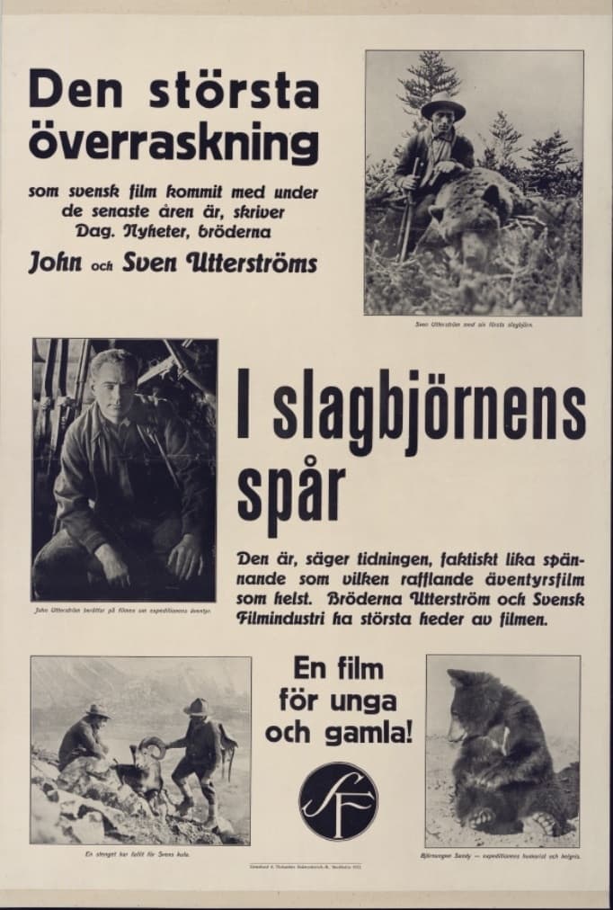 I slagbjörnens spår